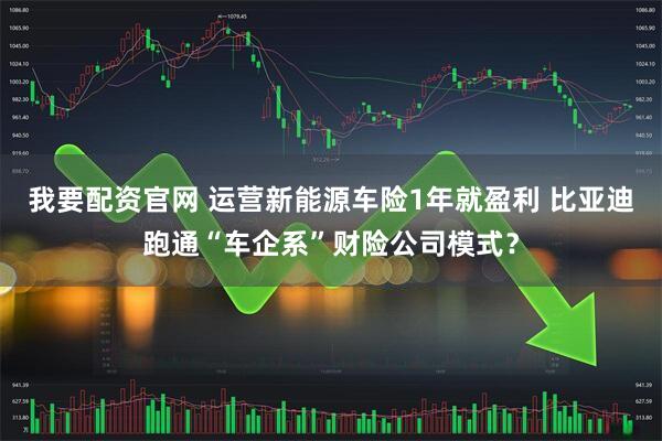 我要配资官网 运营新能源车险1年就盈利 比亚迪跑通“车企系”财险公司模式?